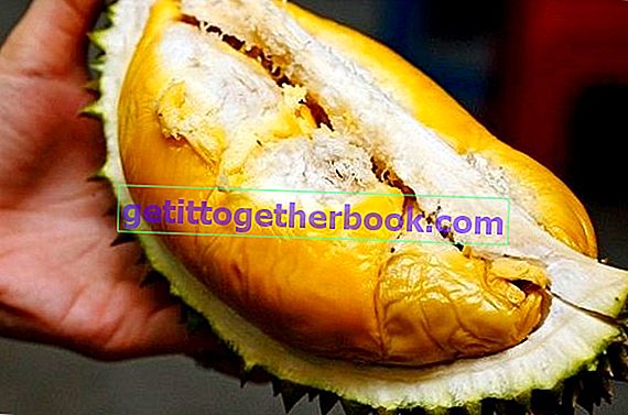 Raja Musang Durian