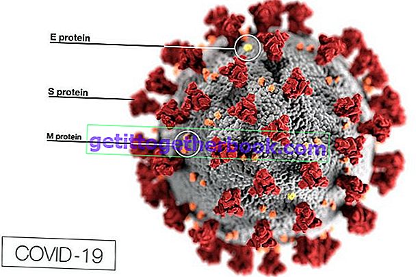 Apakah Virus Corona Covid-19?