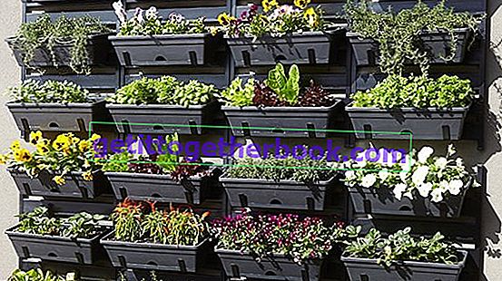 Органично отглеждане на зеленчуци с вертикална градина