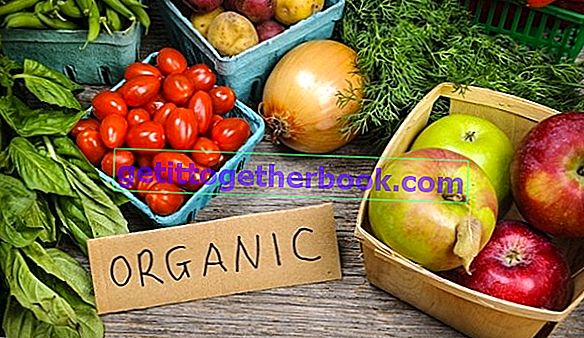 Organisk grönsaksodlingsverksamhet