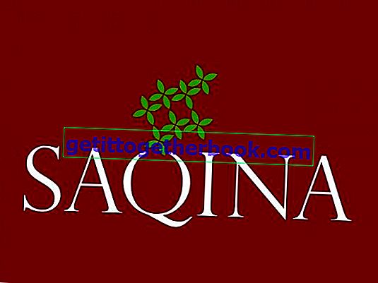 Saqina.com ~ Membeli-belah dalam talian untuk keperluan pakaian dan ibadat Muslim yang lebih mudah