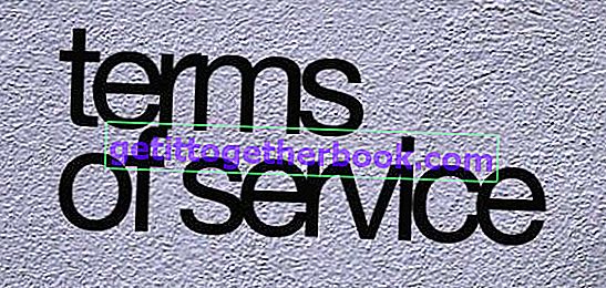 Förstå-and-Observation-terms-of-service-01