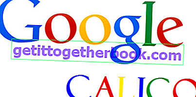 Google-Calico