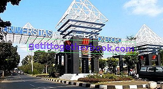 มหาวิทยาลัย Diponegoro