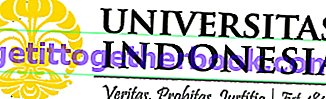 Logo UI