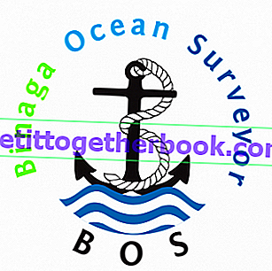 Binaga Ocean Surveyor